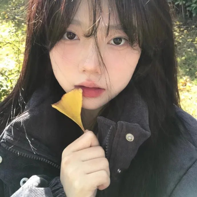 歌王卡罗素